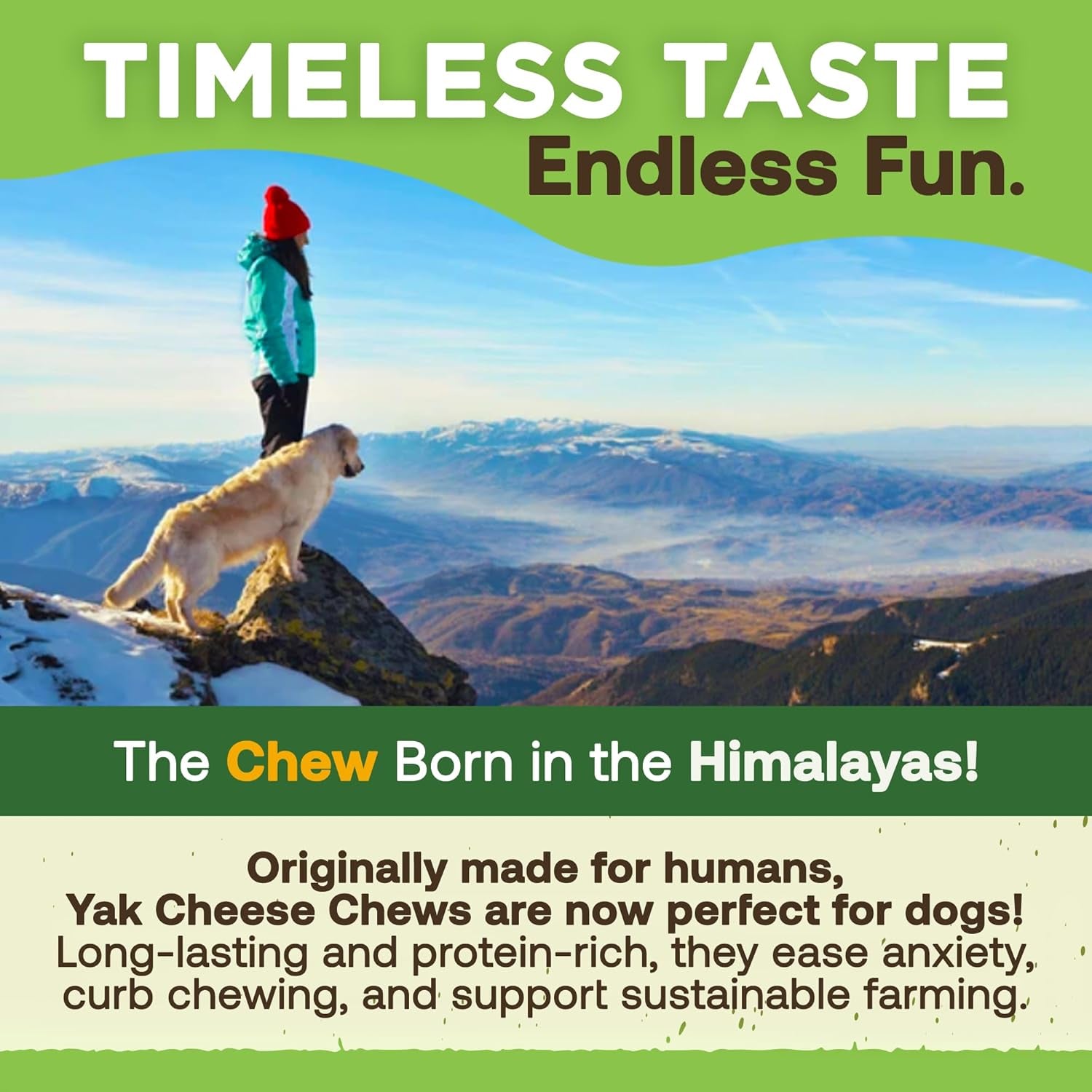 Ecokind Premium Gold Yak Cheese Himalayan Dog Chews, Dog Treats for Medium Dogs, All Natural, High Protein, for Aggressive Chewers, Medium - 3 Chews